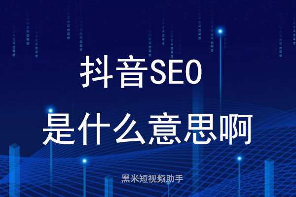 抖音seo是什么意思啊