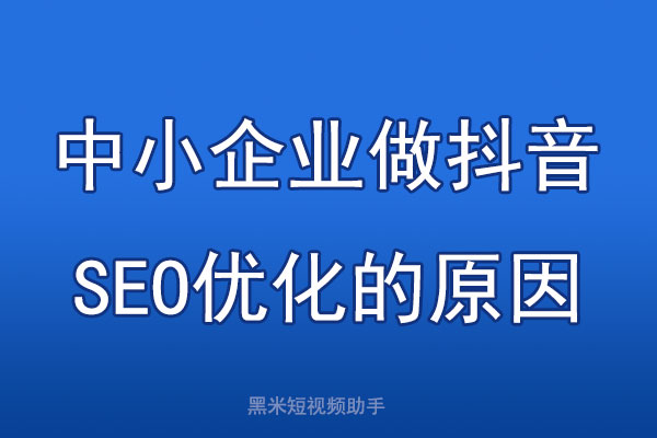 中小企业做抖音SEO优化的原因