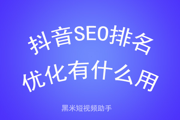 抖音SEO排名优化有什么用