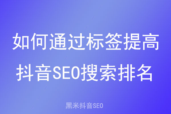 如何通过标签提高抖音SEO搜索排名